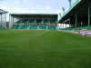 hibs10.jpg (76392 bytes)