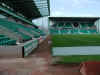 hibs3.jpg (78583 bytes)